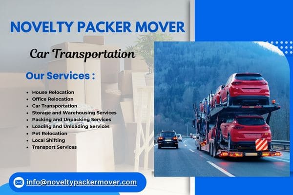 Novelty Packer Mover