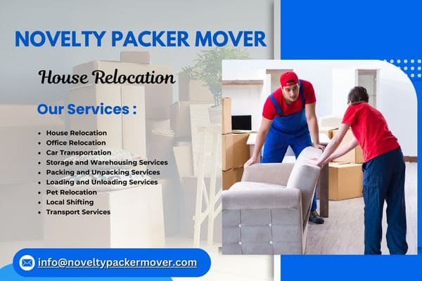 Novelty Packer Mover