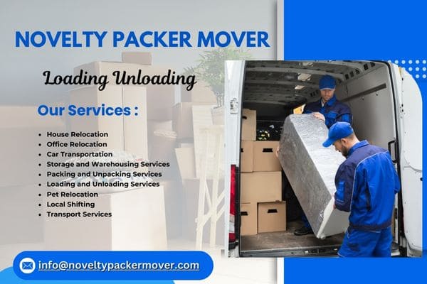 Novelty Packer Mover