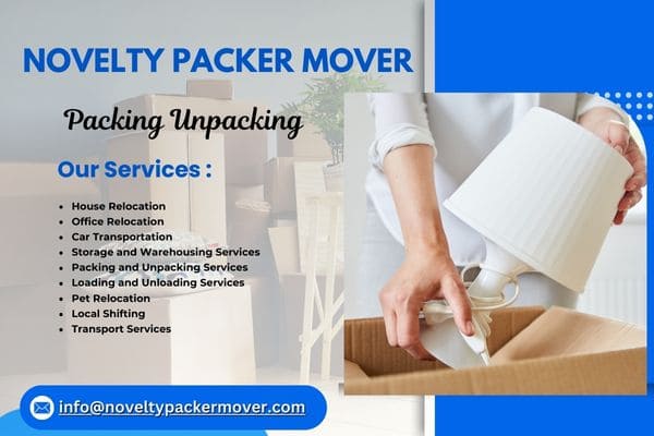 Novelty Packer Mover