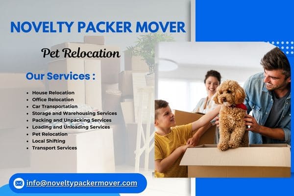 Novelty Packer Mover